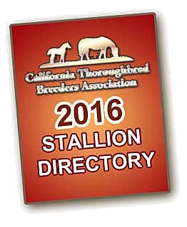 2016 Stallion Directory Graphic PNG